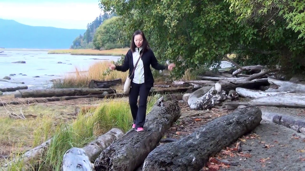 Wreck beach Trail from trail 7 UBC by TonyYu YouTube