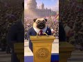Кого поздравим следующего? #shorts #animals #viralshorts