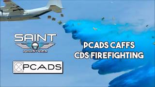 PCADS Video 2017
