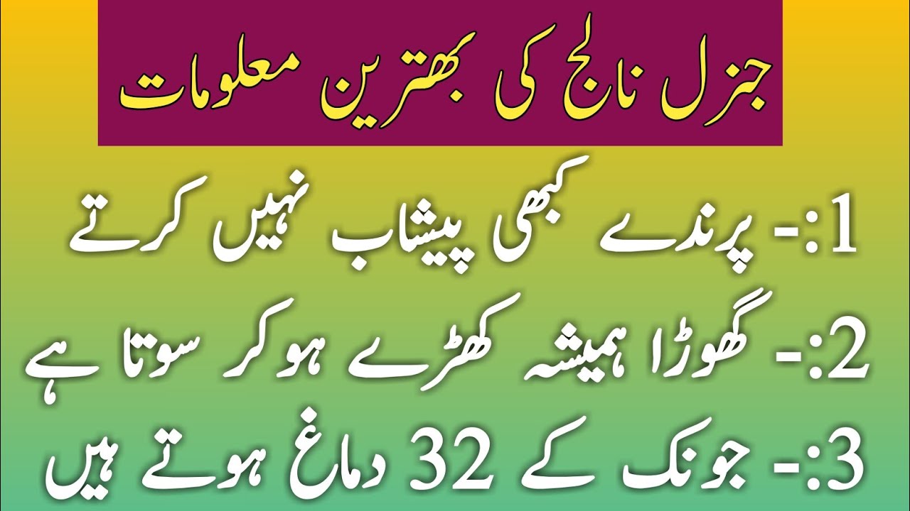 General Knowledge In Urdu || Urdu Knowledge || Facts In Urdu - YouTube