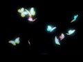 Zoyou  butterflies