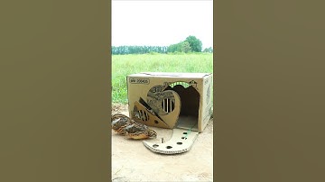 Technique Unique Trap # Creative DIY Quail Bird Trap #shorts