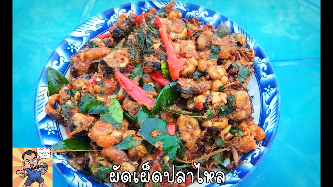 ผัดเผ็ดปลาไหล ศุภชัย เสมอมิตร โหน่งโชว์ l เข้าครัวกับคุณโหน่ง