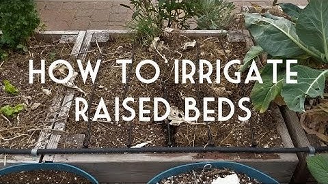 How to Irrigate Raised Bed Gardens with Dripperline