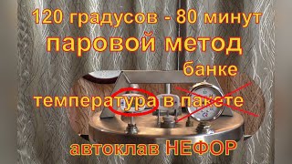Серия 8. 120 градусов - 80 минут. Паровой метод. Температура в банке. Автоклав НЕФОР.