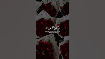 زين للذين كفروا الحياة الدنيا و يسخرون من الذين ءامنوا || القارئ: طارق محمد