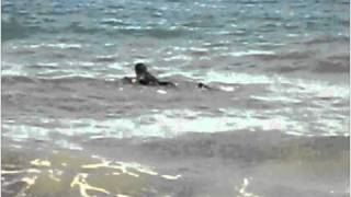 Bodyboard en San pedro de Alcántara