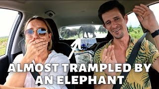 A Crazy Self-Drive SAFARI in Kruger National Park | Dangerous Elephant Encounter In Rental Car