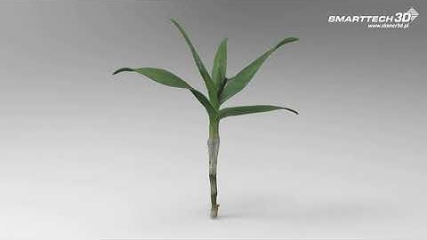 SMARTTECH3D - plants digitalization