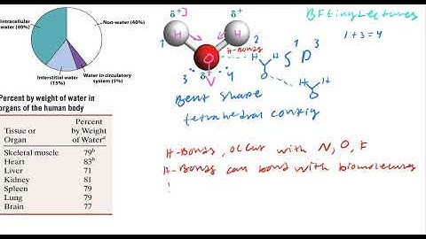 Lecture 2 Water, Acids, Bases, and Buffers