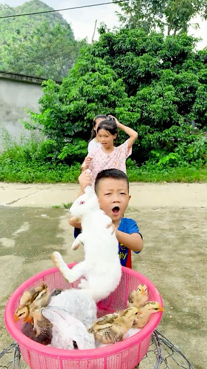 Mother and son are so funny 😱🤣🐇🦆🐓 #videoviral #ponnusword