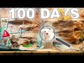 Simulating a desert for 100 days  grand canyon pt1 
