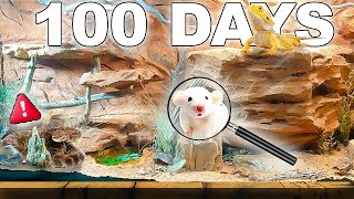 Simulating A Desert for 100 Days ( Grand Canyon pt1 )