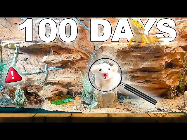 Simulating A Desert for 100 Days ( Grand Canyon pt1 ) class=