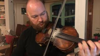 Video thumbnail of "Fergal Scahill's fiddle tune a day 2017 - Day 149 - Apples in Winter"