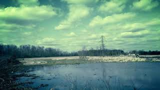 Echoes of the Moon - Elusion - [Full Album]