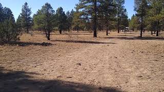 Free Campsites Williams Arizona by I go where I'm Towed - Youtube Camping  1,627 views 3 years ago 7 minutes, 9 seconds