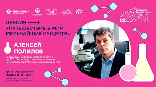 картинка: Удивительное путешествие в мир мельчайших существ. Алексей Полилов