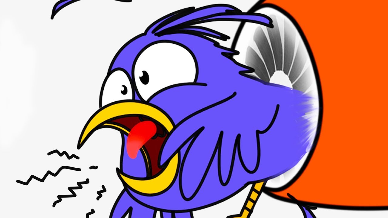 ماذا لو حلق طائر عبر محرك الطائرة؟