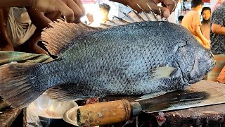 Tripletail Fish Chopping & Cutting by Fish Cutter | Fish Cutting Skills