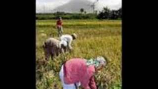 Ranga By Sen Eddie Ilardeorig Version W S