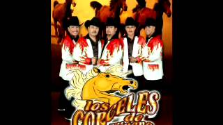 Los Cocos - LOS CORCELES DE TIJUANA