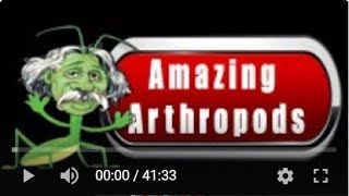 2023 Amazing Arthropods Event Coach Training