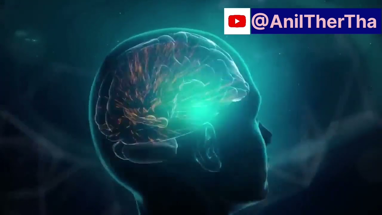 shilajit blackstone How to use