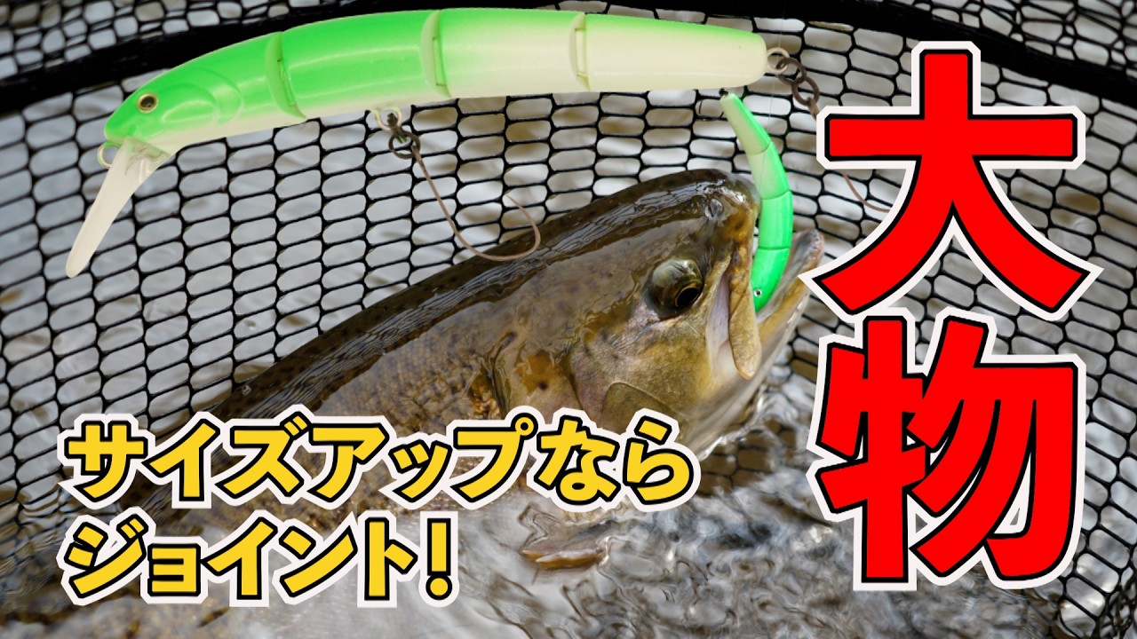 【菊地栄一】大型トラウトが群遊する東北の楽園『あいづフィッシングエリア』。ジョイント系で狙うモンスタートラウト #エリアトラウト #fishing #管理釣り場 #釣り #ヴァルケイン