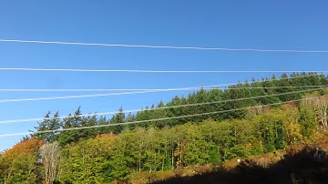Buzzing Noise from High-Voltage Lines on Wickersham Road near Chanterelle Trail