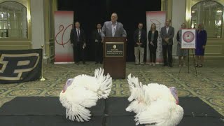 Indiana turkeys named ahead of presidential pardon on Friday