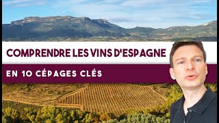 Les 10 Cépages Clés Pour Comprendre Les Vins Despagne Leçon N159