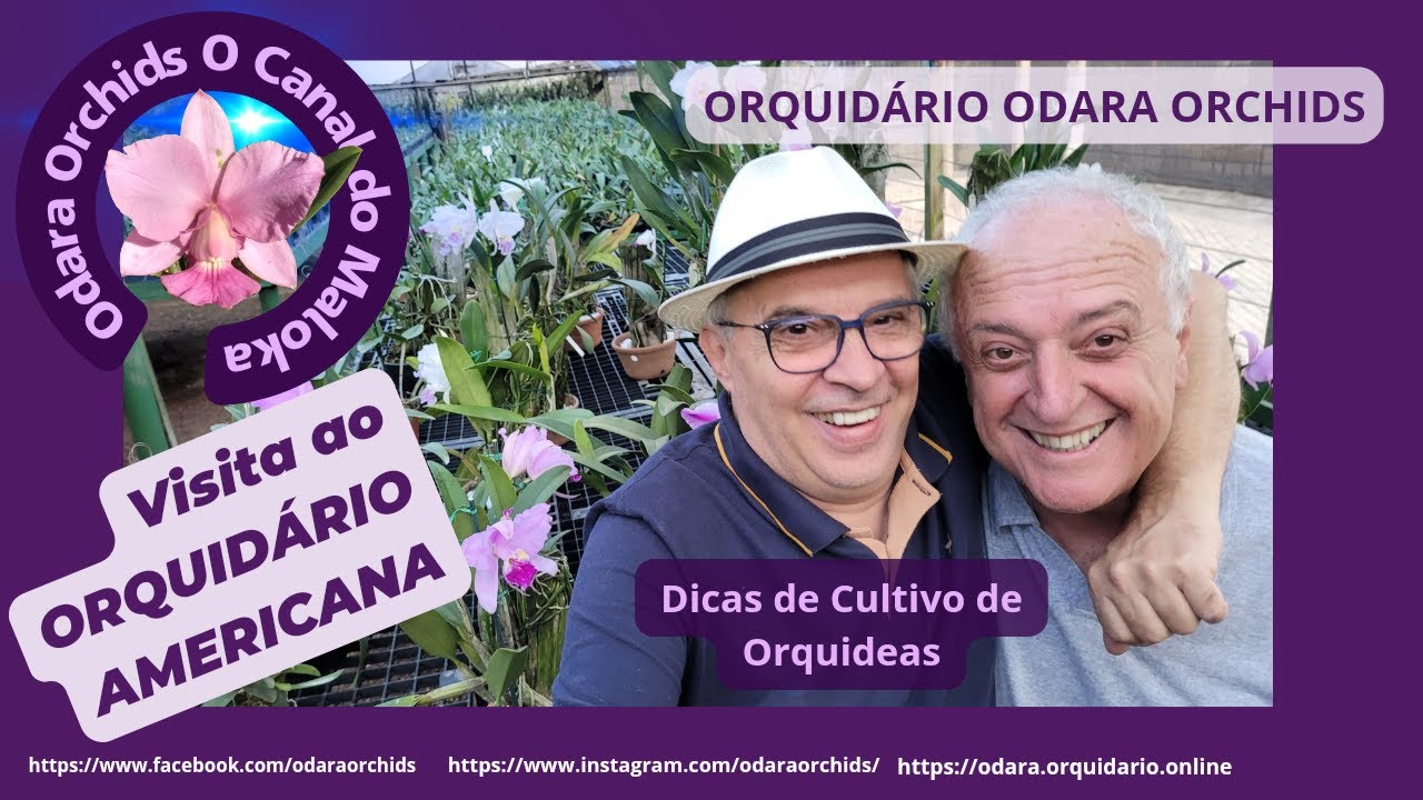 Maloca Visita o Orquidário Americana: Ótimas Dicas de Cultivo de 