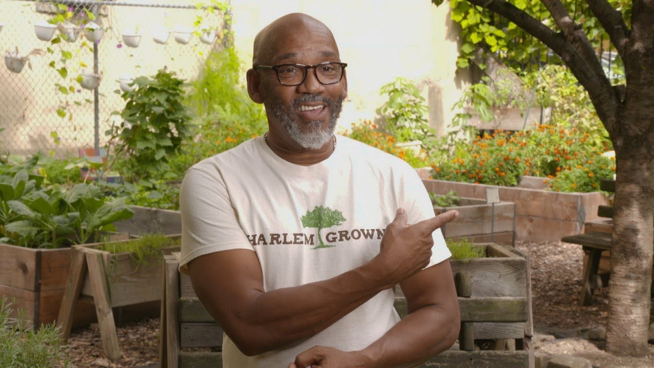 Limo Company Owner-Turned-Gardener Turns Vacant Lots Into Urban Gardens for NYC Kids In Need | Rachael Ray Show