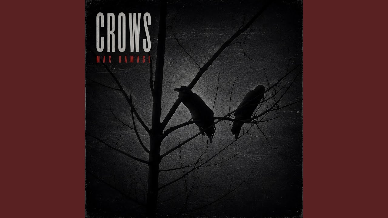 YouTube에서 Crows 보기 YouTube에서 Crows 보기