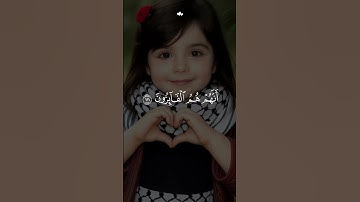 سورة المؤمنون بصوت القارئ اسلام صبحي 💙