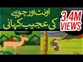 Cartoon For Kids | Oont Aur Chohay Ki Ajeeb Khani - Kisi Ko Chota Nahi Samjhain | Madani Channel