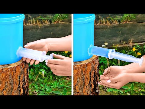 Useful Garden Hacks That Actually Work