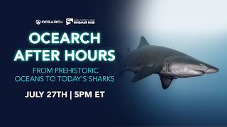 OCEARCH After Hours: Prehistoric Sharks