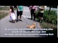 Great Pyrenees Vesper's 2 wk board & train transformation- Cincinnati Dog Trainers Off Leash K9 Great Pyrenees Vesper's 2 wk board & train transformation- Cincinnati Dog Trainers Off Leash K9