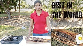 MULLET FISH FRY | MULLET FISH COOKING | AUSTRALIAN MULLET | Outdoor Cooking Channel | GKN Flicks