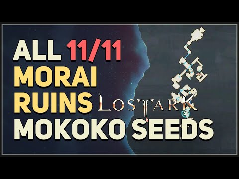 Our Group Reloads in Lost Ark for Morai Ruins