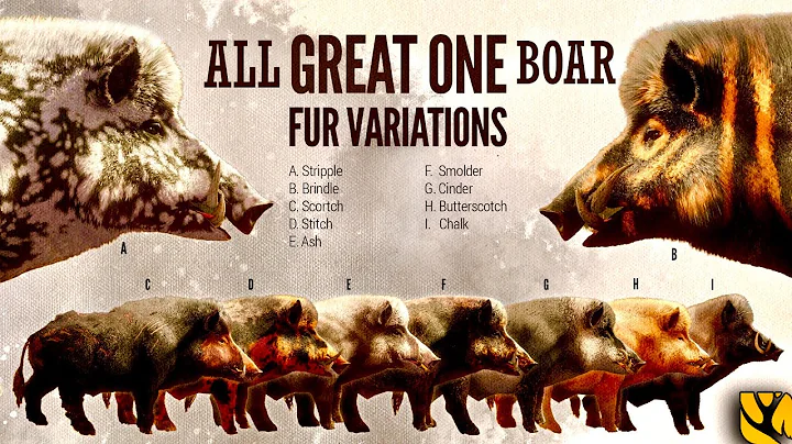 AL 9 FUR VARIANTS REVEALED FOR THE NEW GREAT ONE WILD BOAR COMING TO THE HUNTER CALL OF THE WILD!