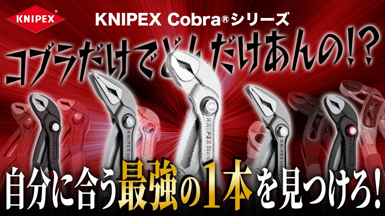 Revealing the Entire Set of These Popular Tools!] Do you know