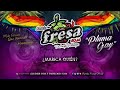 Banda Fresa - Pluma Gay 2018