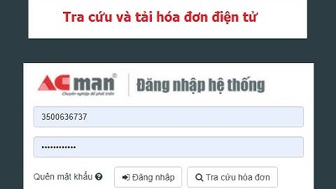 Hướng dẫn tra cứu và tải hóa đơn điện tử ACMan trên hoadondientu.acman.vn