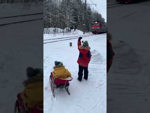 Акуленок поезд