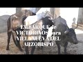 EMBARQUE de Corrida de Toros de VICTORINO para VILLANUEVA DEL ARZOBISPO