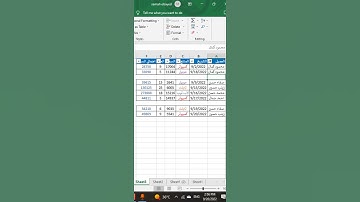 اسهل طريقه ناس كتير متعرفهاش تعمل بيها فلتر فى الاكسل