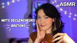 ASMR .ೃ࿐ mots déclencheurs bretons 😴